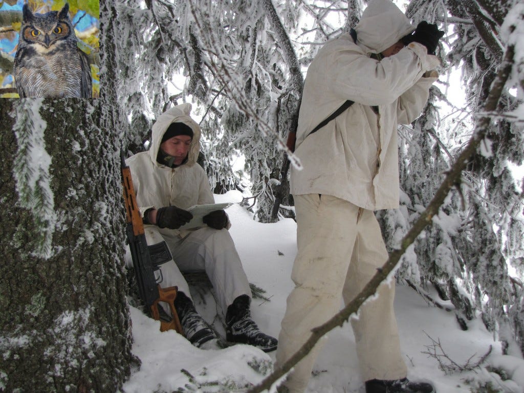 companie ISR regiment 207 infanterie marina