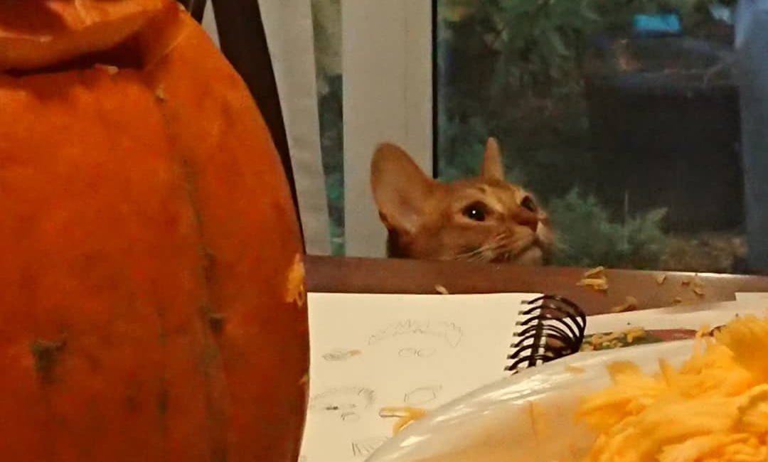 Samhain Rituals part 1