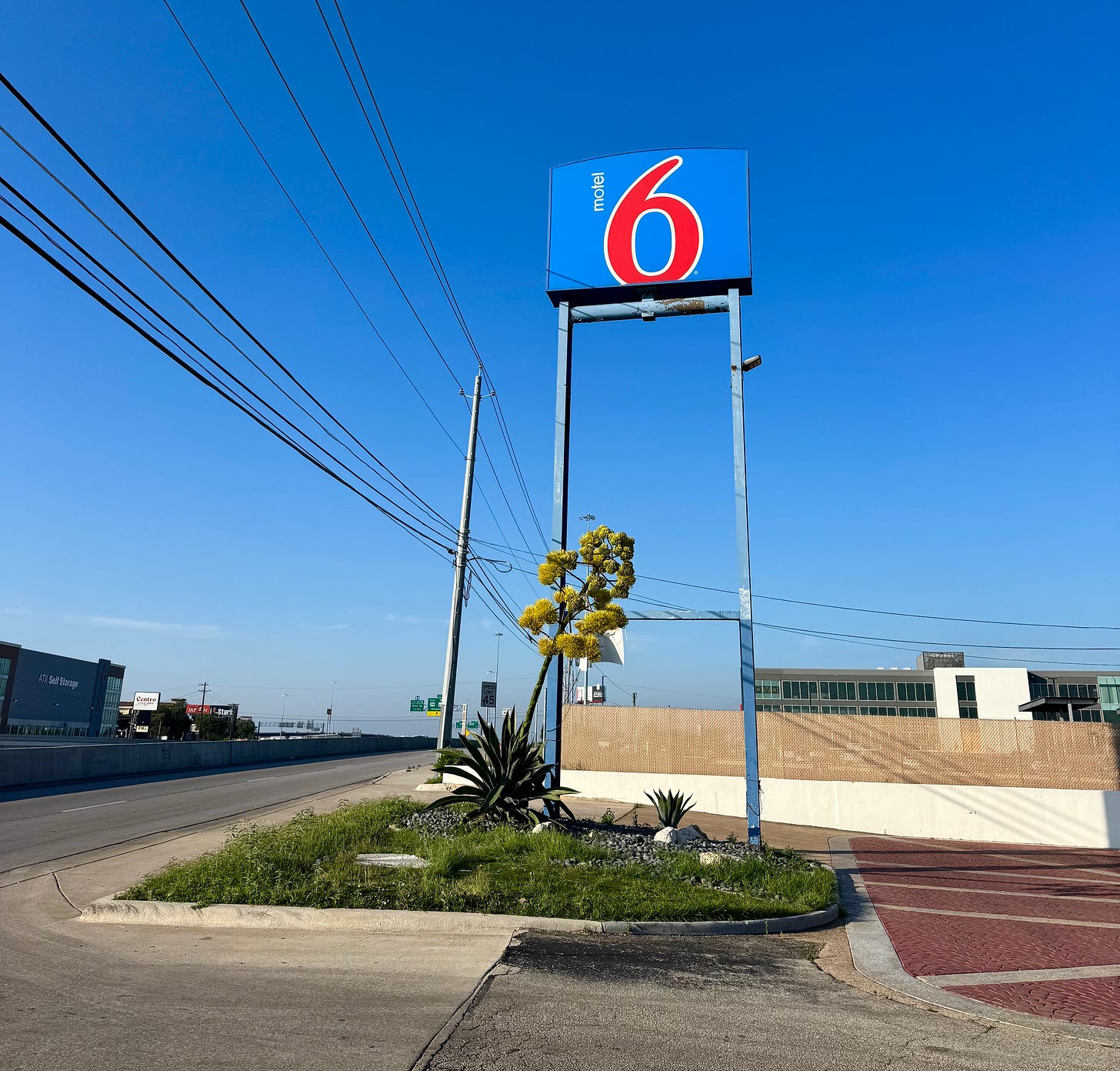 Agave in bloom by frontage road with Motel 6 sign