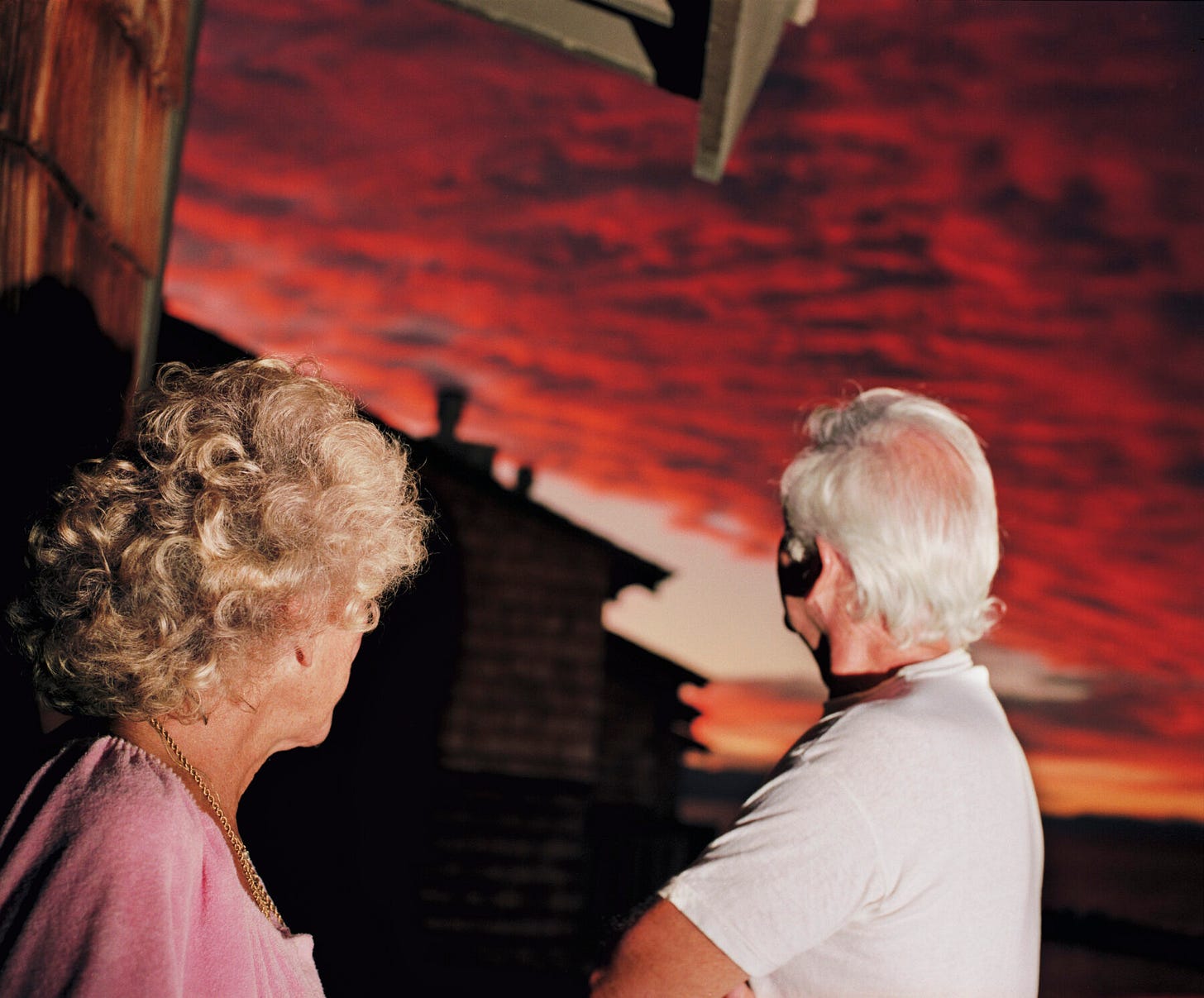 Larry Sultan: Pictures from Home | Yancey Richardson Gallery, New ...