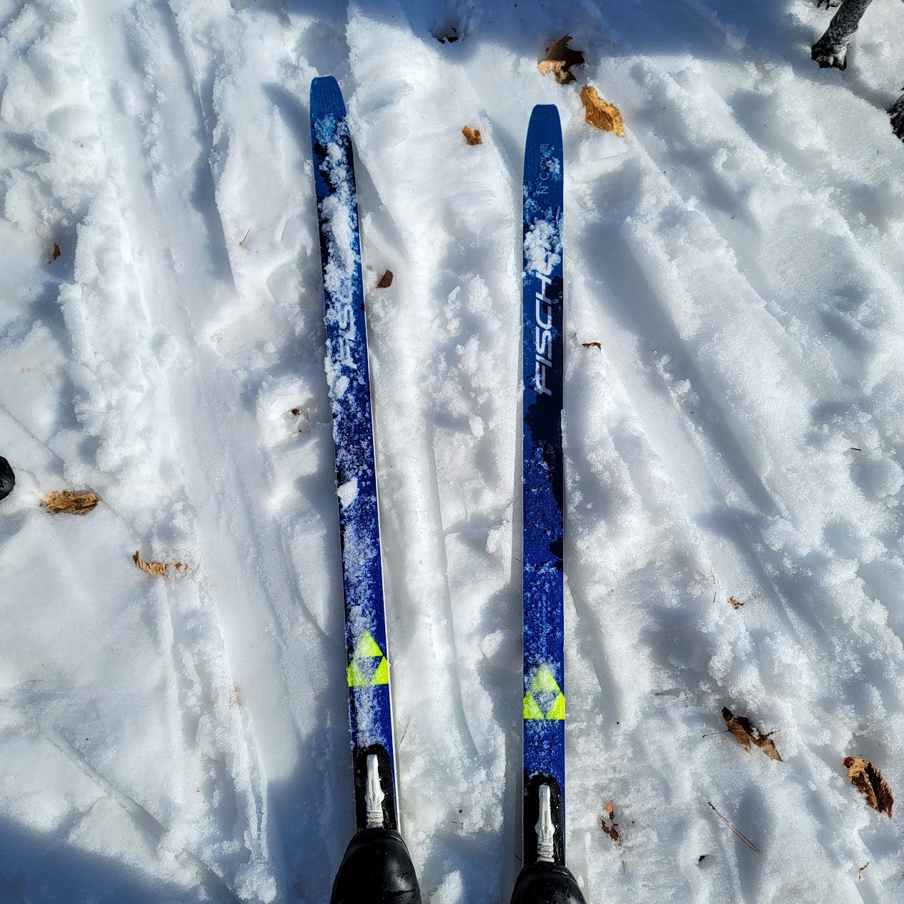 Cross-country skis.