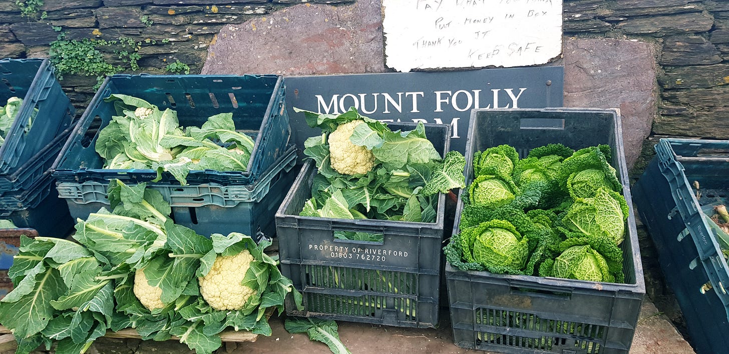 Brassicas