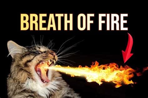 Breath of Fire - How Can The Yogic Breath Of Fire Benefit You?