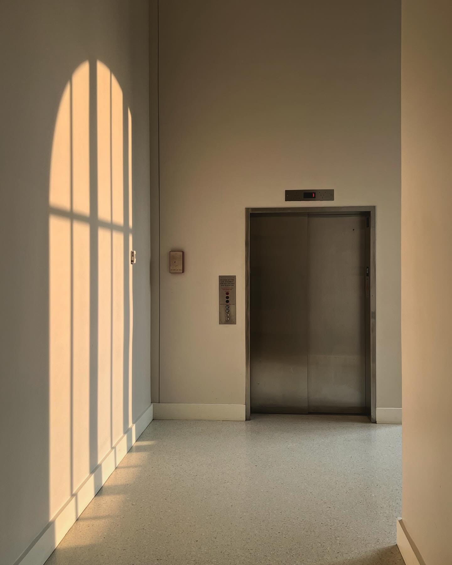 Sunlight shines on the wall inside Apple Carnegie Library. The light traces the outline of the store window.