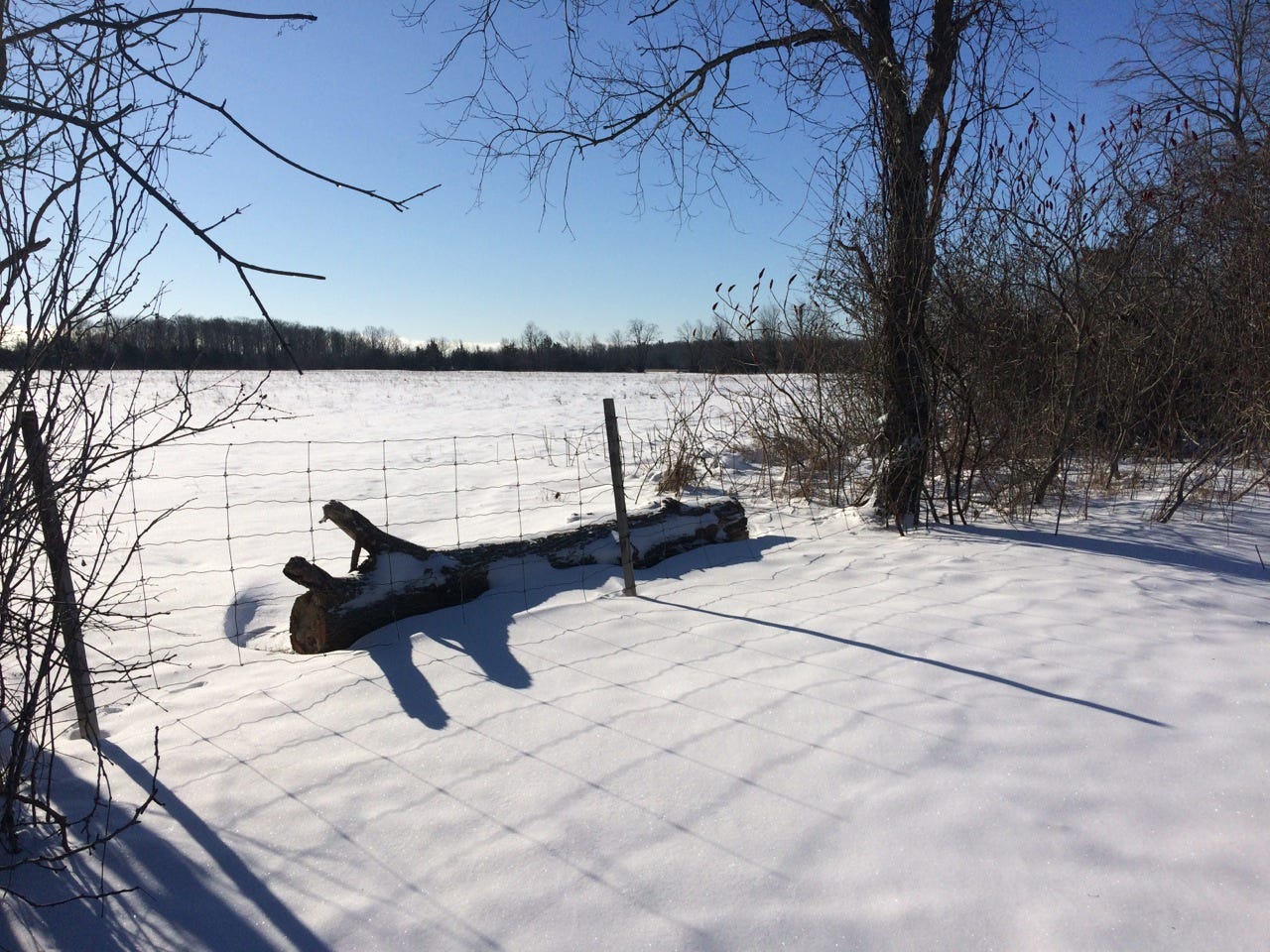 winter winter