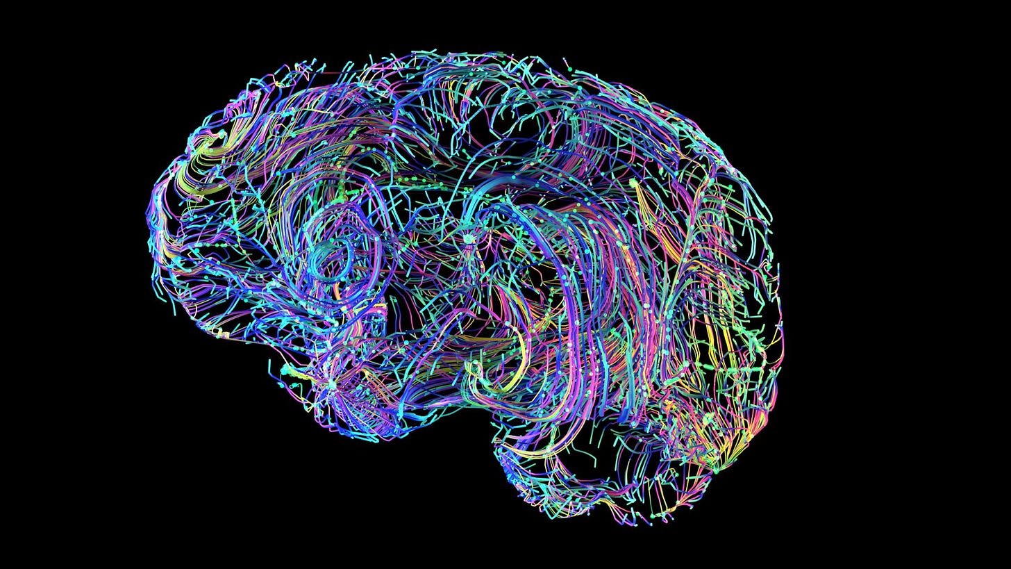 How Does Alzheimer's Disease Affect the Brain? How Does Alzheimer's Disease Affect the Brain?