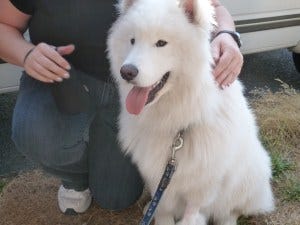 location tour vancon 13 004