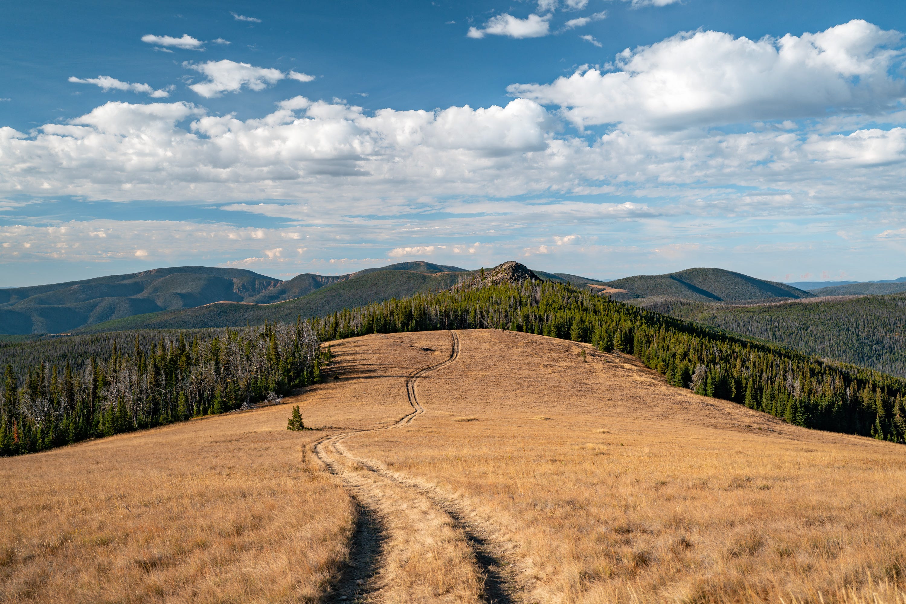 Why The Media Keeps Running Anti-Public Lands Op-Eds