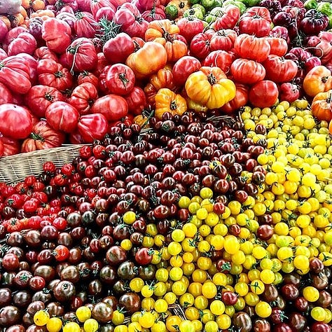 red gooseberries, raspberries, apples, tomatoes, forced rhubarb, farmers market London