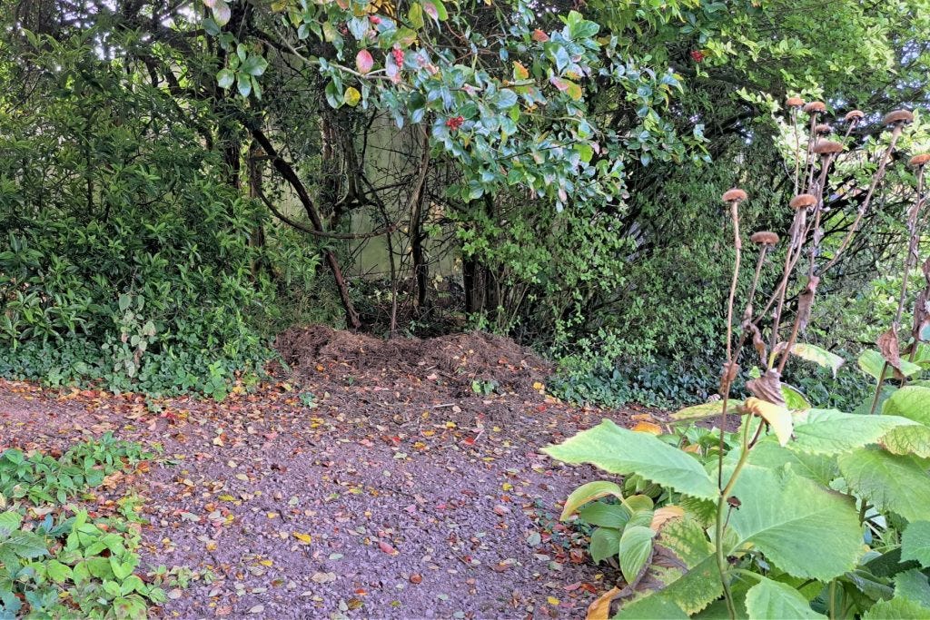 End of a path at Veddw Garden copyright Anne Wareham