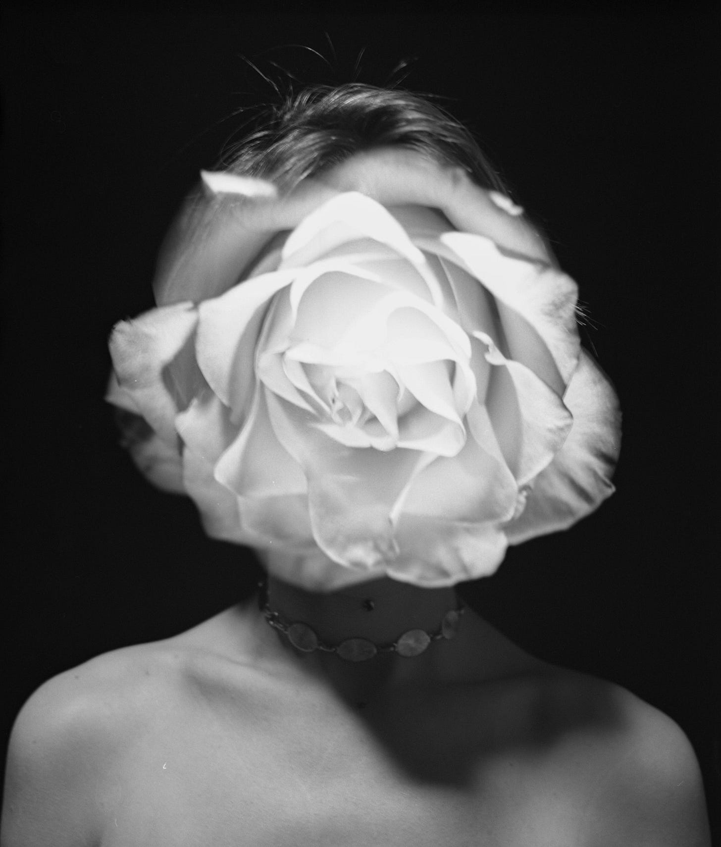 a black and white photo of a head-sized rose layered over lou fuzzy's face so that they appear to be one a black and white photo of a head-sized rose layered over lou fuzzy's face so that they appear to be one