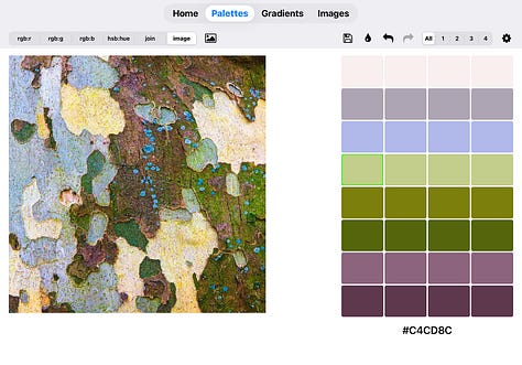 rgbDesigner palettes made from photos of bark