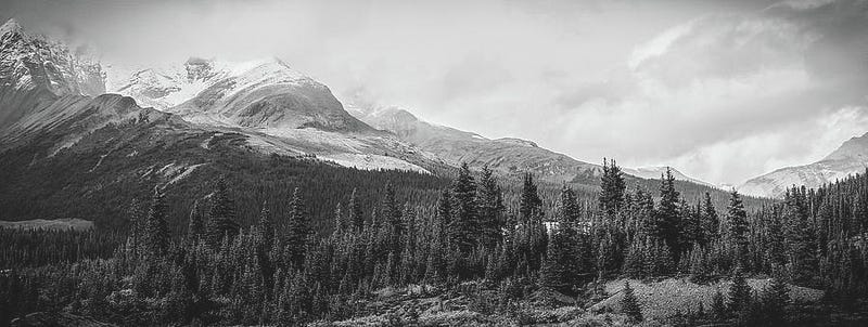 Wide black and white panoramic landscape of the Canadian Rockies, featuring rugged peaks, forests, and expansive sky.