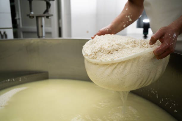 2,300+ Cheese Whey Stock Photos, Pictures & Royalty-Free Images - iStock