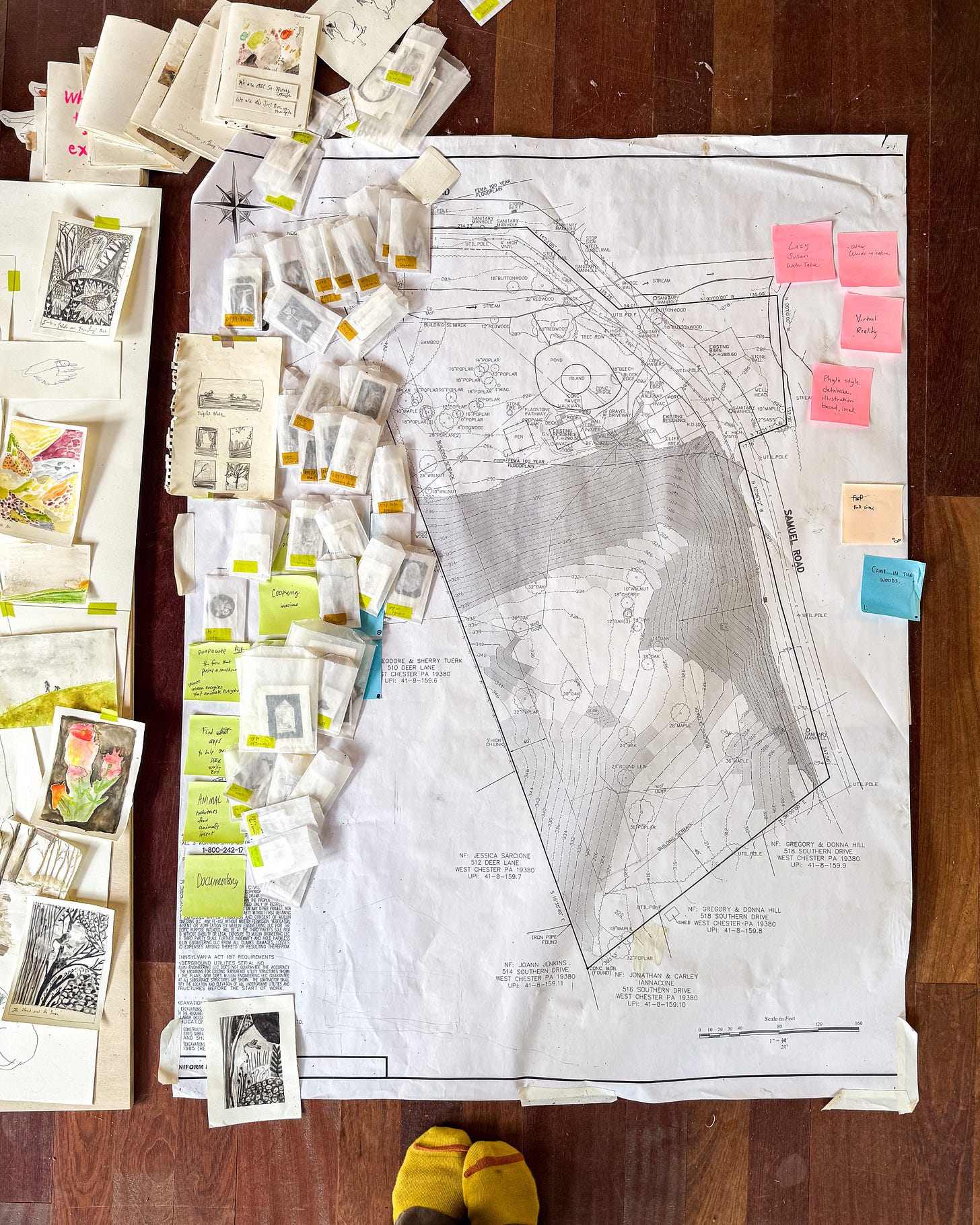 surveillance map