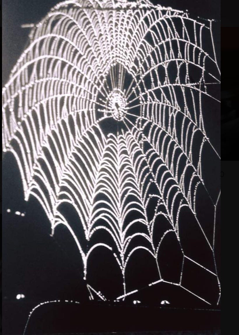 I hold you to me by a thread