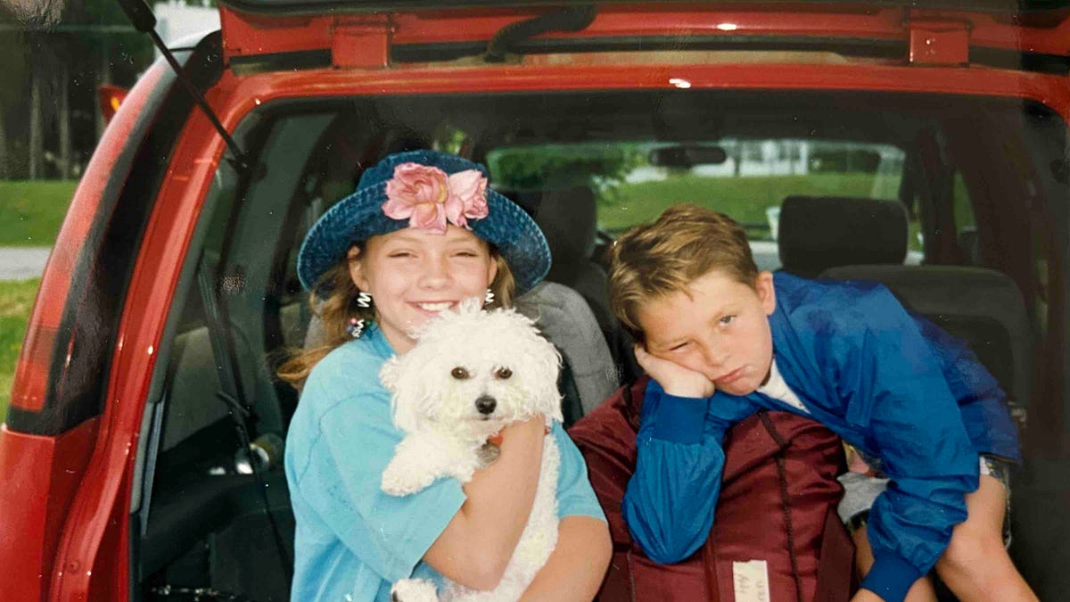 Glad Alla Hjärtans Dag Svart Katt Kattunge Med Stort Rött — stockvektor av  ©worldofvector 440494498, image size:1200x675