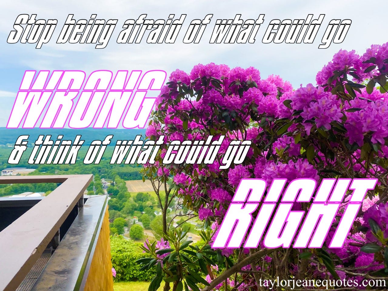 taylor jeane quotes, taylor jeane, taylor wilson, free quote of the day subscription, free daily quotes, inspirational quotes, motivational quotes, right and wrong quotes, fear quotes, trust quotes, go for it quotes, possibility quotes, intimidation quotes, mindset shift quotes, mindset quotes, thought quotes, positive quotes, positive mindset quotes, positive attitude quotes, uncertainty quotes, massachusetts, purple flowers, magenta flowers