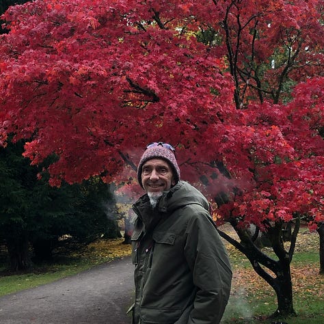 Autumnal trees