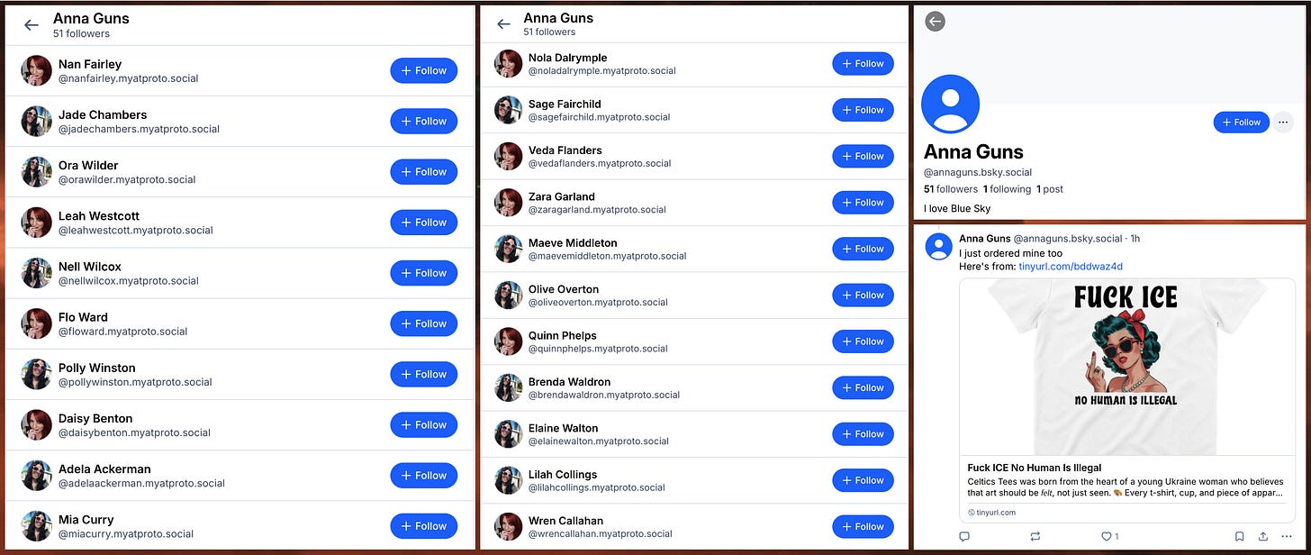 followers of @annaguns.bsky.social, along with @annaguns.bsky.social's profile and sole post, a T-shirt ad