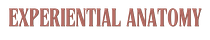 Experiential Anatomy Podcast