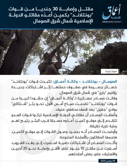 Arabic text in white font overlaid on a landscape image showing green trees, rocky terrain, and a blue sky with clouds. The text appears to be a statement from Amaq News Agency dated 2022. Additional Arabic script at the bottom credits the agency.