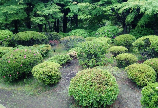 Kyu-Furukawa Garden Kyu-Furukawa Garden
