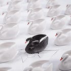 Le cygne noir du solopreneuriat