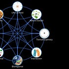 Regenerative Transformation & Unbounded Collaboration