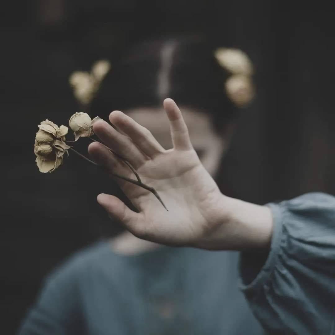 No photo description available.