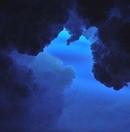 Silhouette of a tree, a cloud, and a close-up photo of a flower; all in intense blue.