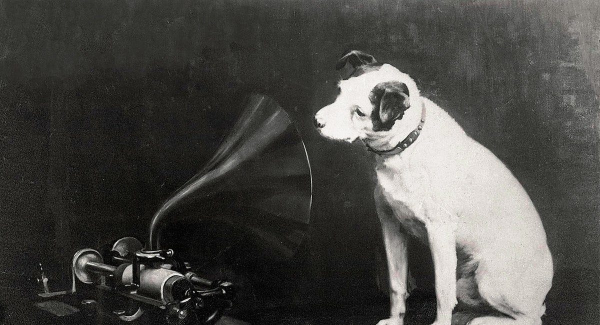 "We're giving these girls mastectomies. You have to be curious about what's going on."