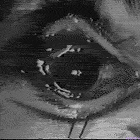 Read This When Entreprenurship Feels Uncertain 