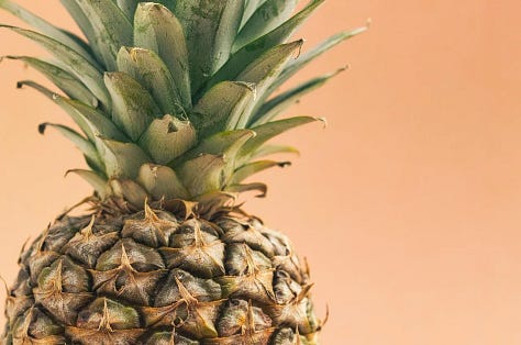 Sunflower, Pine cone, Pineapple