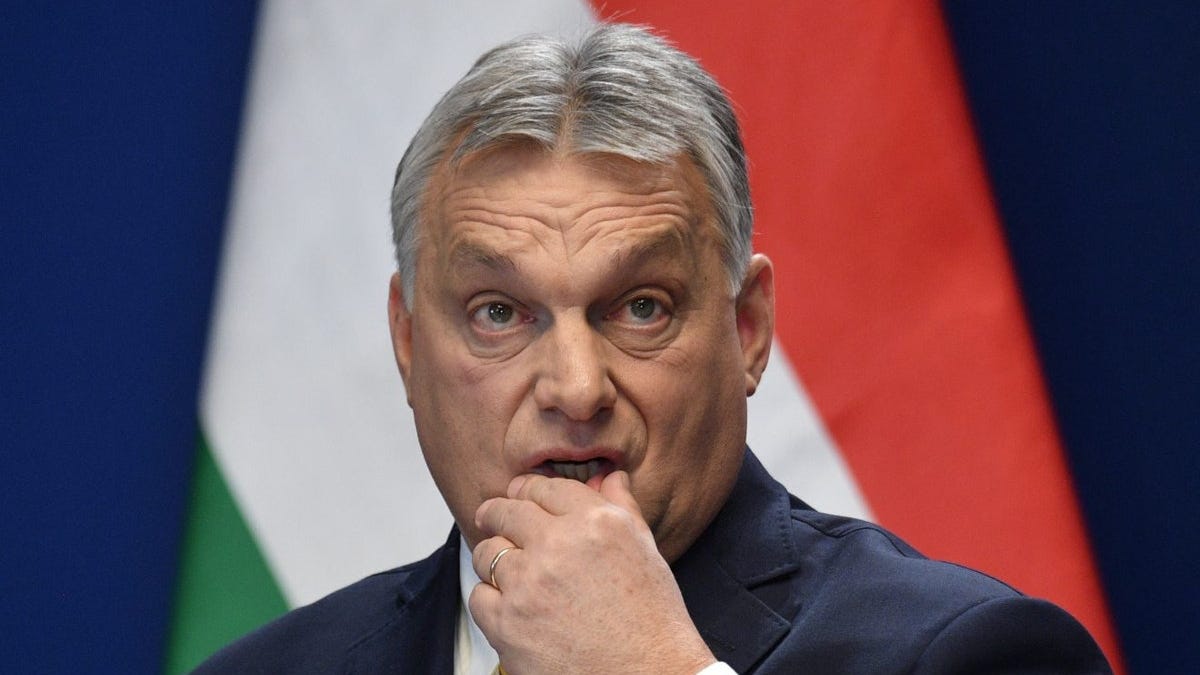 astralcodexten.substack.com