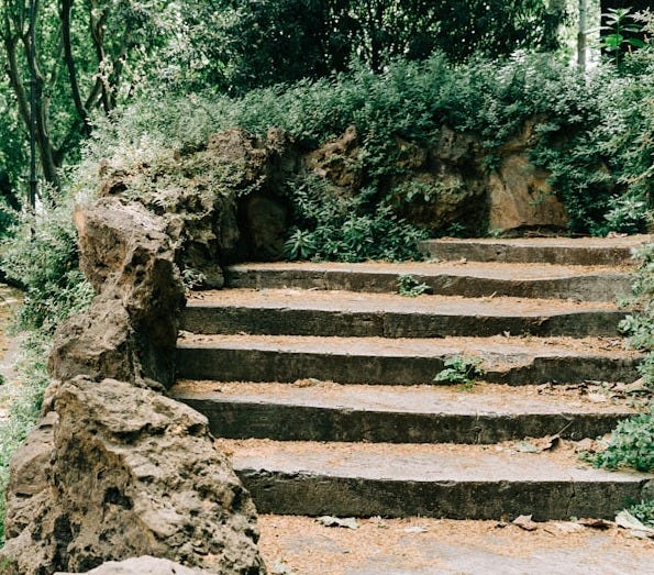 brown wooden bridge in between green trees during daytime brown wooden bridge in between green trees during daytime