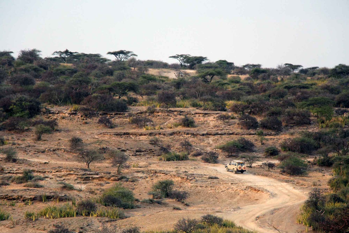 A landscape at Olduvai Gorge with land cruiser