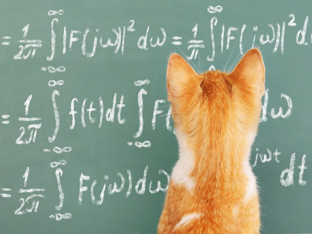 Your Cat Probably Understands Physics Your Cat Probably Understands Physics