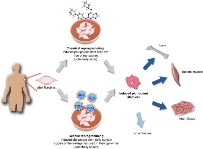 Cell reprogramming: expectations and challenges for chemistry in stem cell biology and regenerative medicine | Cell Death & Differentiation Cell reprogramming: expectations and challenges for chemistry in stem cell biology and regenerative medicine | Cell Death & Differentiation