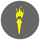 Torchlight Consulting Newsletter