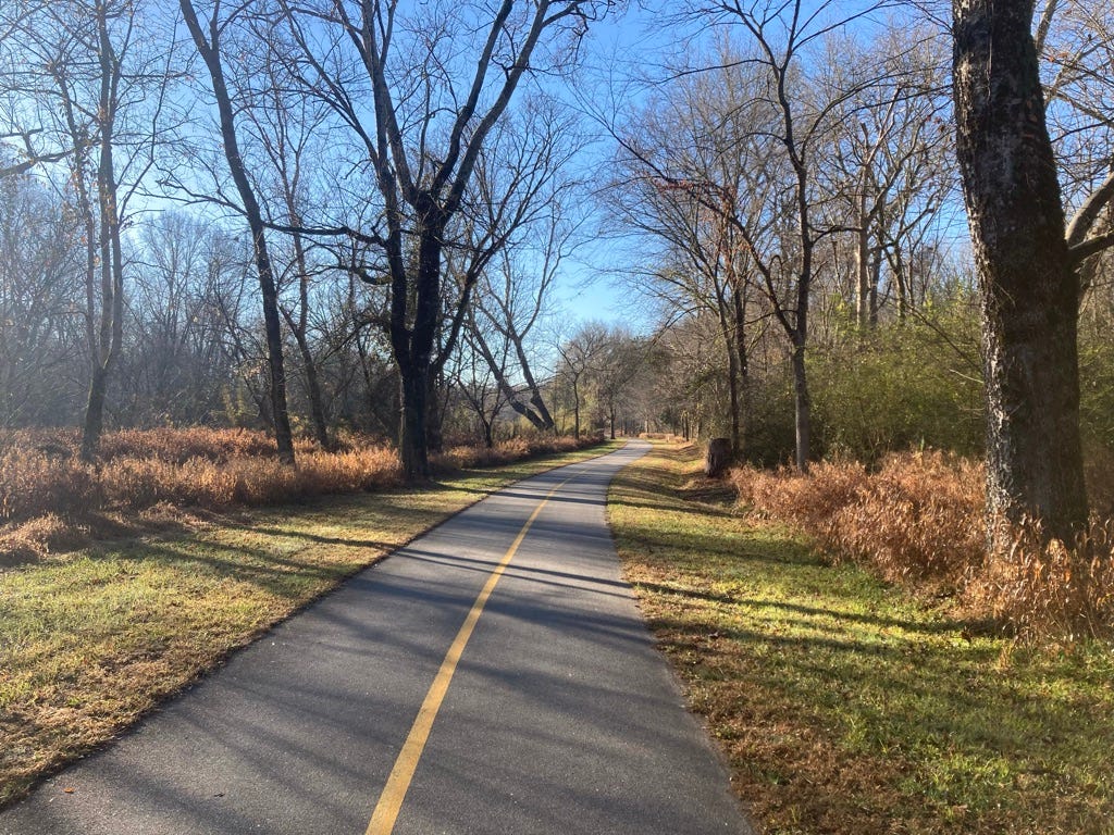asphalt path with yellow center line leading through the trees