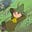Tim Six's avatar