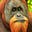 Kiman's avatar