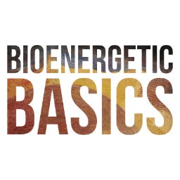 The Danny Roddy Weblog