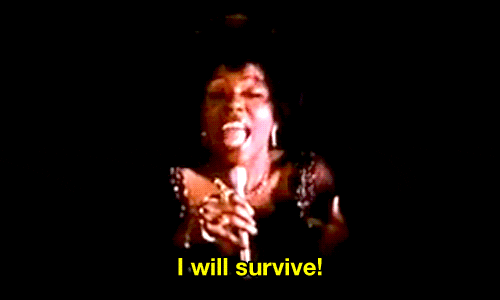 Surviving GIFs - Get the best GIF on GIPHY