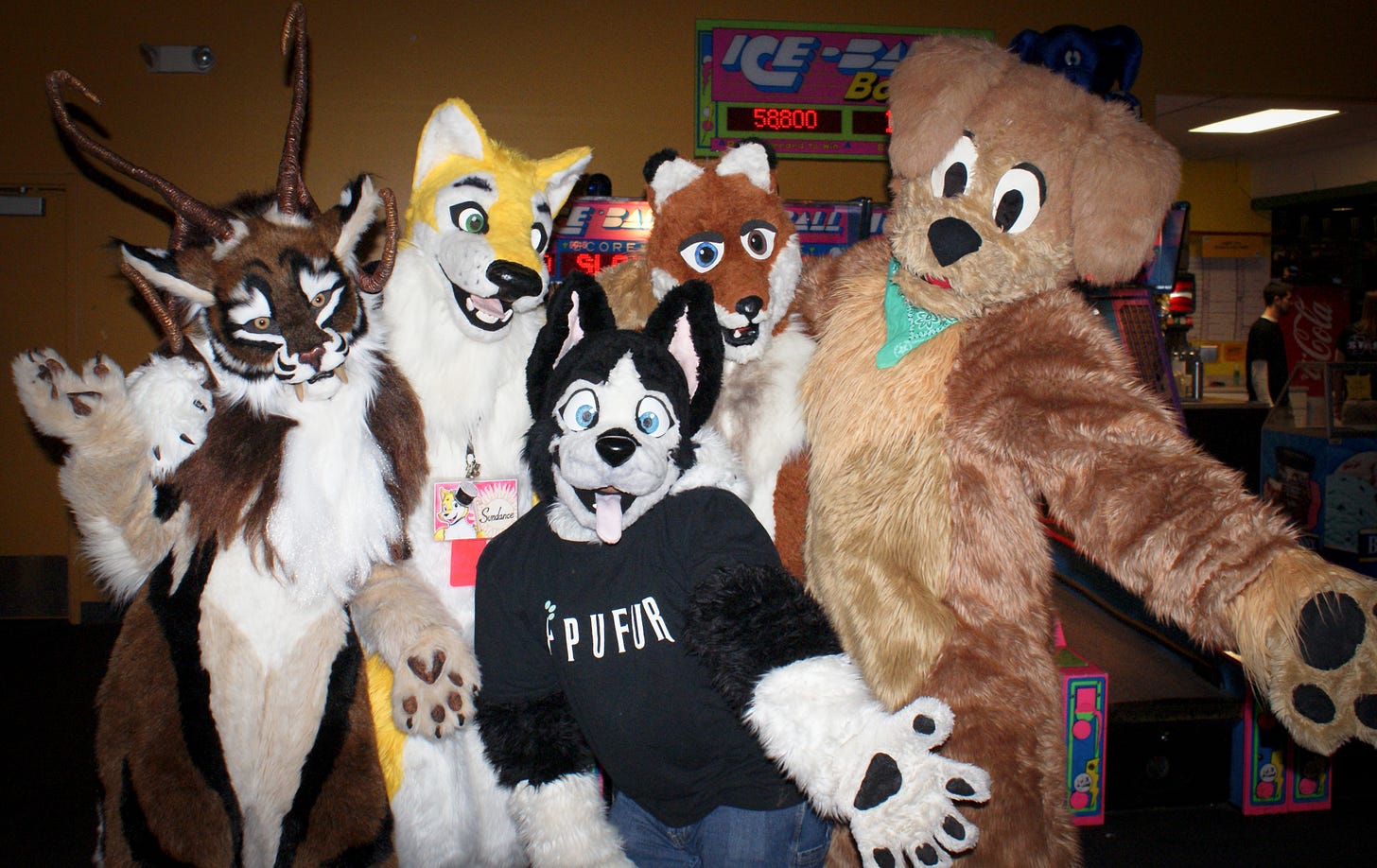 Is Being A Furry Considered A Sexual Orientation | CLOUDY GIRL PICS