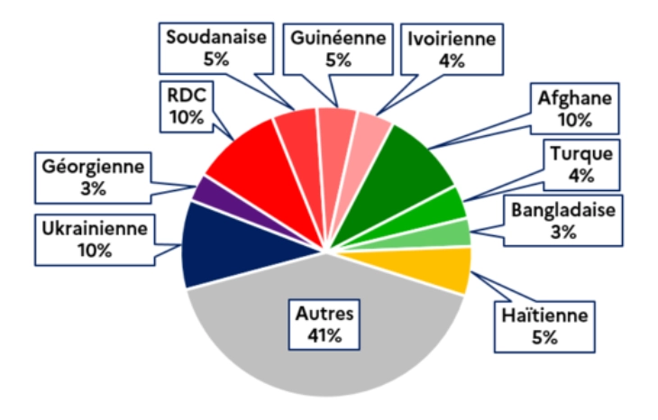 Pie chart showing where refugees in France come from: Ukraine 10%, Georgia 3%, RDC 10%, Sudan 5%, Guinea 5%, Ivory Coast 4%, Afghanistan 10%, Turkey 4%, Bangladesh 3%, Haiti 5%, others 41%.