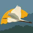 On Being a Bad Birder