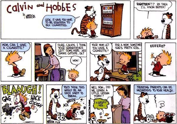 For a mom, sometimes she's pretty cool. : r/calvinandhobbes