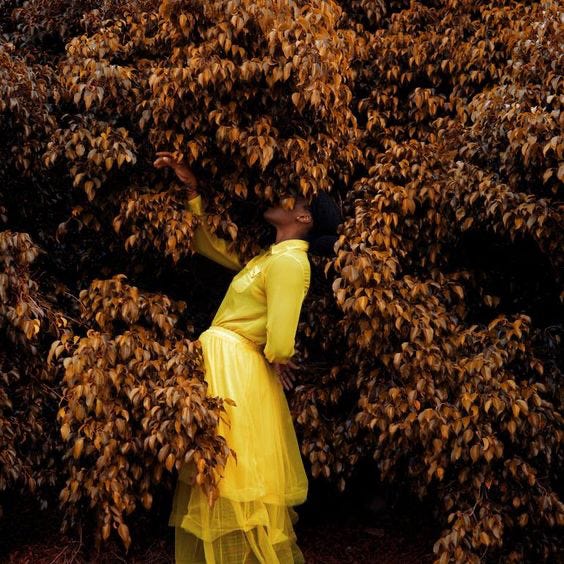 A woman in a bright yellow dress stands inside a large bush that has orange leaves A woman in a bright yellow dress stands inside a large bush that has orange leaves